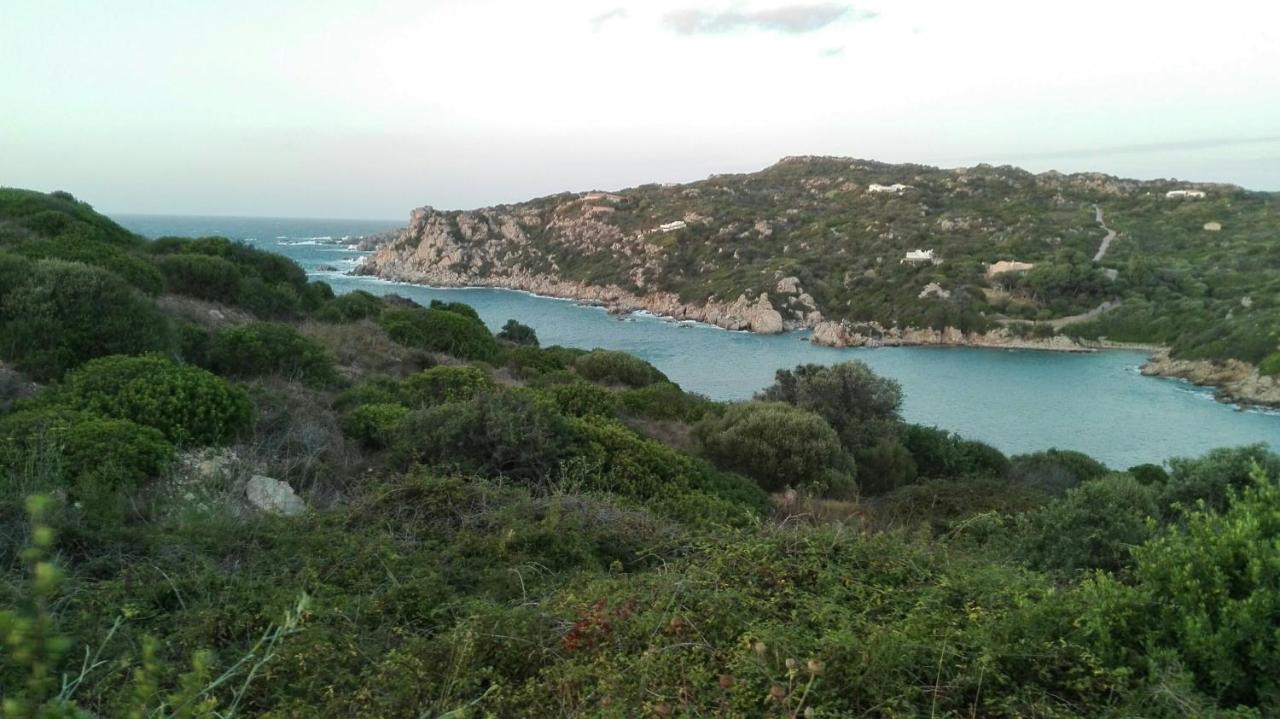 Appartamento In Paese A Santa Teresa Di Gallura Exterior foto